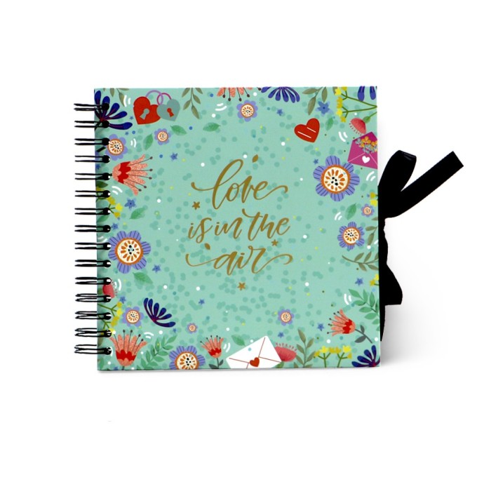Album Carton SW101